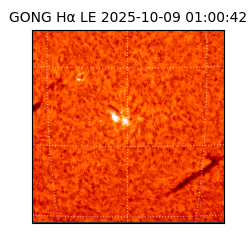 gong - 2025-10-09T01:00:42