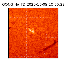 gong - 2025-10-09T10:00:22