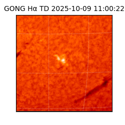 gong - 2025-10-09T11:00:22