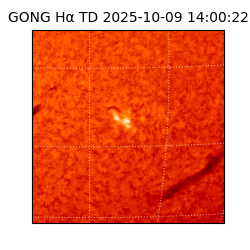 gong - 2025-10-09T14:00:22