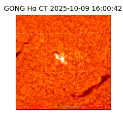 gong - 2025-10-09T16:00:42