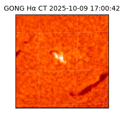 gong - 2025-10-09T17:00:42