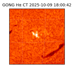 gong - 2025-10-09T18:00:42