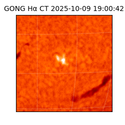 gong - 2025-10-09T19:00:42