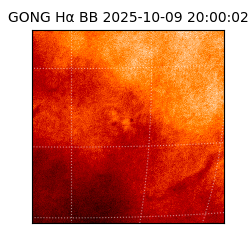 gong - 2025-10-09T20:00:02