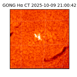 gong - 2025-10-09T21:00:42