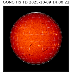 gong - 2025-10-09T14:00:22