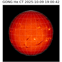 gong - 2025-10-09T19:00:42