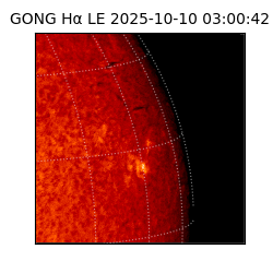 gong - 2025-10-10T03:00:42