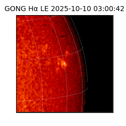 gong - 2025-10-10T03:00:42