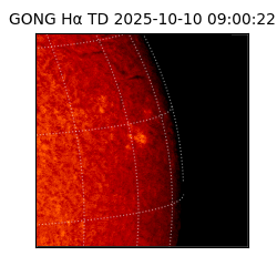 gong - 2025-10-10T09:00:22