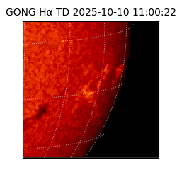 gong - 2025-10-10T11:00:22