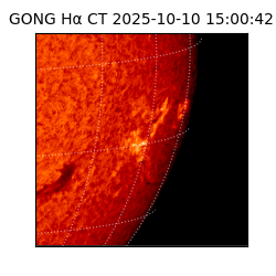 gong - 2025-10-10T15:00:42