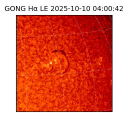gong - 2025-10-10T04:00:42