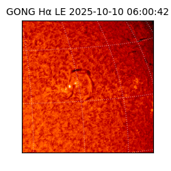 gong - 2025-10-10T06:00:42