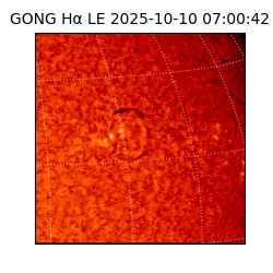 gong - 2025-10-10T07:00:42