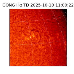 gong - 2025-10-10T11:00:22