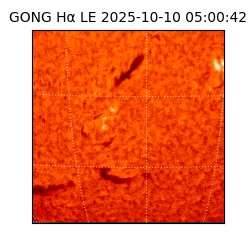 gong - 2025-10-10T05:00:42