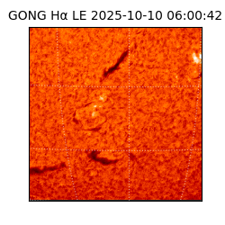 gong - 2025-10-10T06:00:42