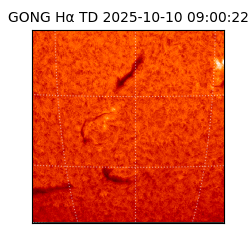gong - 2025-10-10T09:00:22