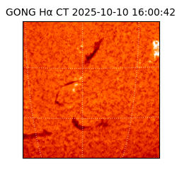 gong - 2025-10-10T16:00:42