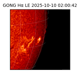 gong - 2025-10-10T02:00:42