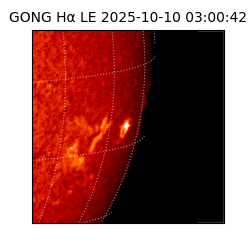 gong - 2025-10-10T03:00:42
