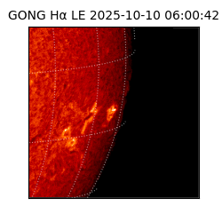 gong - 2025-10-10T06:00:42