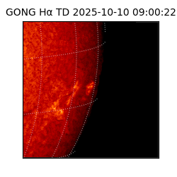 gong - 2025-10-10T09:00:22