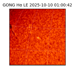 gong - 2025-10-10T01:00:42