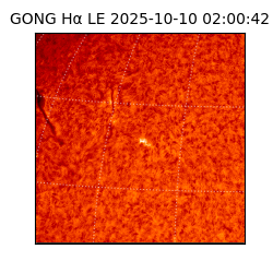 gong - 2025-10-10T02:00:42
