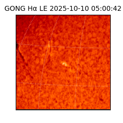 gong - 2025-10-10T05:00:42