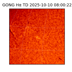 gong - 2025-10-10T08:00:22