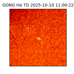 gong - 2025-10-10T11:00:22