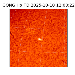 gong - 2025-10-10T12:00:22