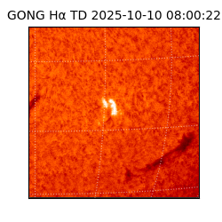 gong - 2025-10-10T08:00:22