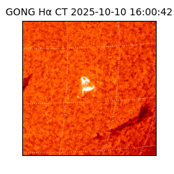 gong - 2025-10-10T16:00:42