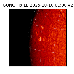 gong - 2025-10-10T01:00:42