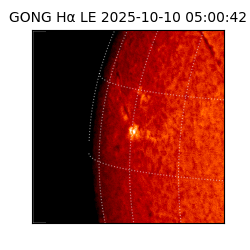gong - 2025-10-10T05:00:42