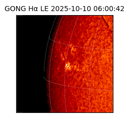 gong - 2025-10-10T06:00:42