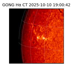 gong - 2025-10-10T19:00:42