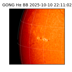 gong - 2025-10-10T22:11:02