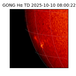 gong - 2025-10-10T08:00:22