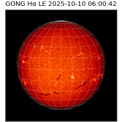 gong - 2025-10-10T06:00:42