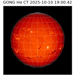 gong - 2025-10-10T19:00:42