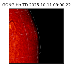 gong - 2025-10-11T09:00:22
