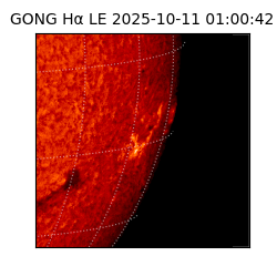 gong - 2025-10-11T01:00:42