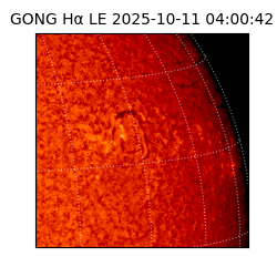 gong - 2025-10-11T04:00:42