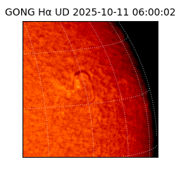 gong - 2025-10-11T06:00:02