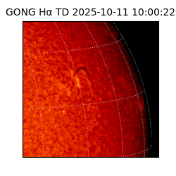 gong - 2025-10-11T10:00:22